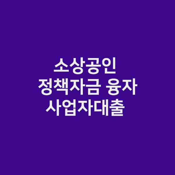 소상공인 정책자금 융자 사업자 대출