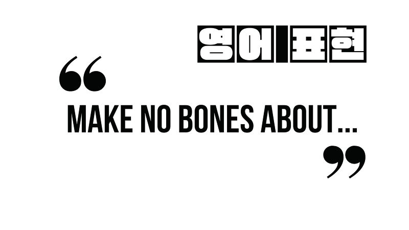(자주 쓰는 영어 표현) Make no bones about...