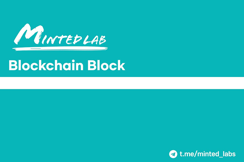 Blockchain Block 2. 블록체인 용어 길잡이 (1) 메인넷, 테스트넷