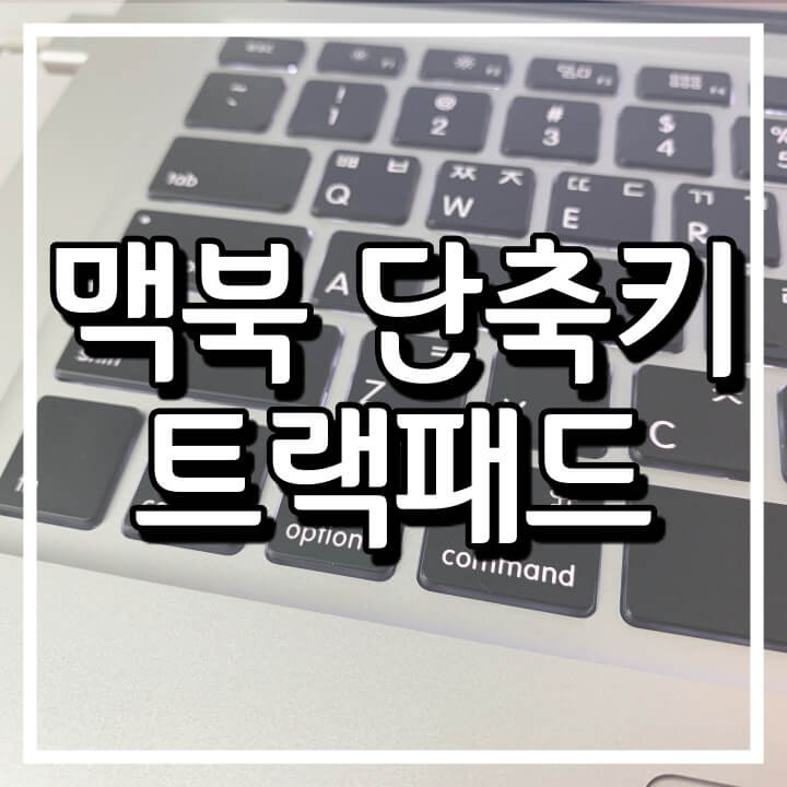 초보블로거 맥북 단축키 & 트랙패드 (화면 캡처/녹화)