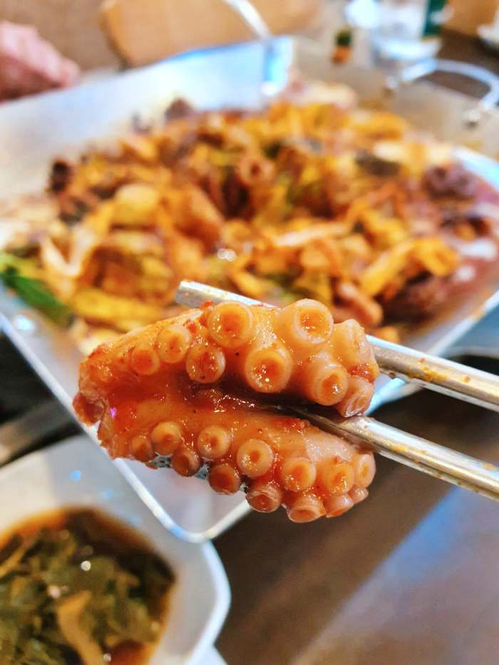 3254회 생방송투데이 수도권 최고의 주꾸미볶음 빅데이터 랭킹 맛집 분당 정자역 추천 가게 산낙지 주꾸미 철판 볶음 방송 정보