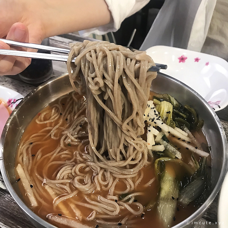 일산 메밀국수 달인 스승 솜씨 메밀도깨비