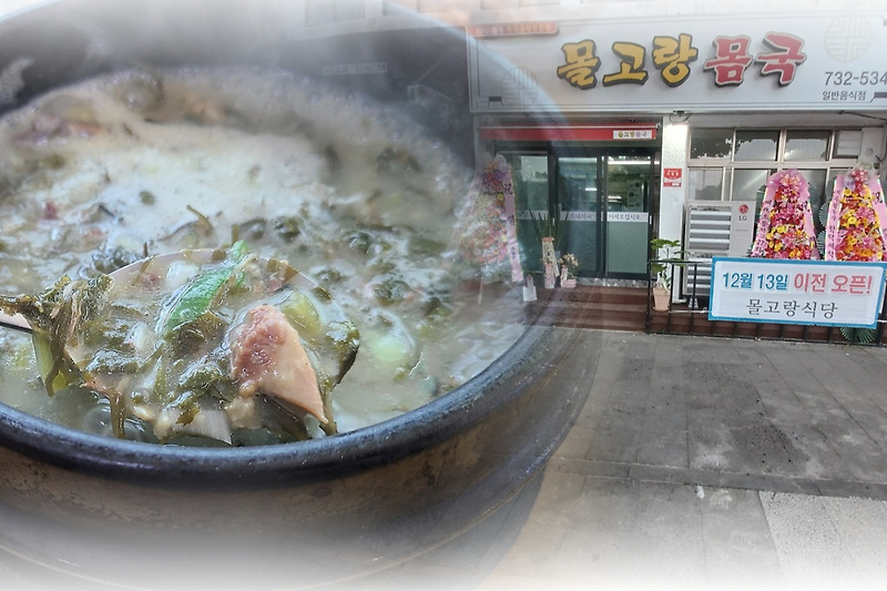 몰고랑식당 | 몸국/흑돼지국 맛집 추천 | 제주 서귀포 근처 음식점