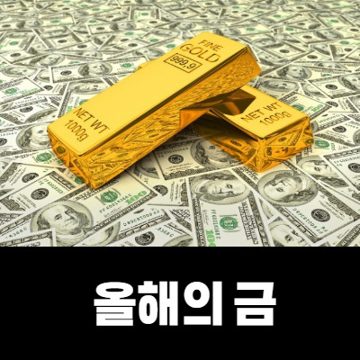 올해의 금값 급등 앞으로는 어떨까