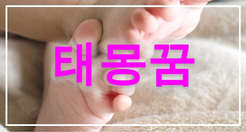 태몽꿈 종류, 아들 태몽꿈, 딸태몽꿈 종류, 감태몽꿈