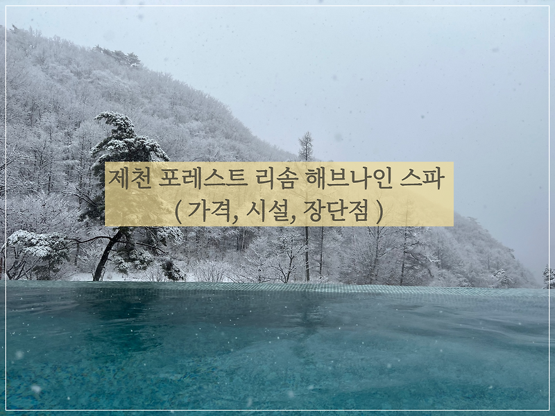 제천 리솜포레스트 해브나인 스파 (이용시간, 가격, 시설, 장단점)