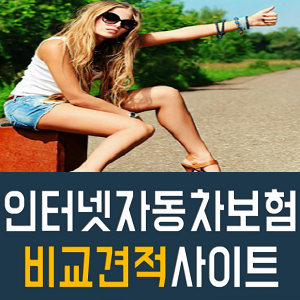 신규자동차보험 가장 효율적으로 준비