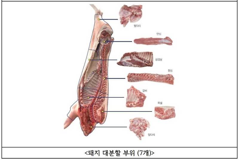 한우 ‧ 돼지 한 마리에서 나오는 고기는 얼마나 될까 [농촌진흥청]