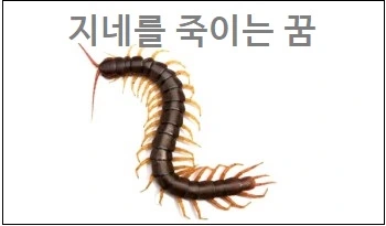 지네 나오는 꿈 지네를 죽이는 꿈 지네에 물리는 꿈 지네가 기어 다니는 꿈 해몽