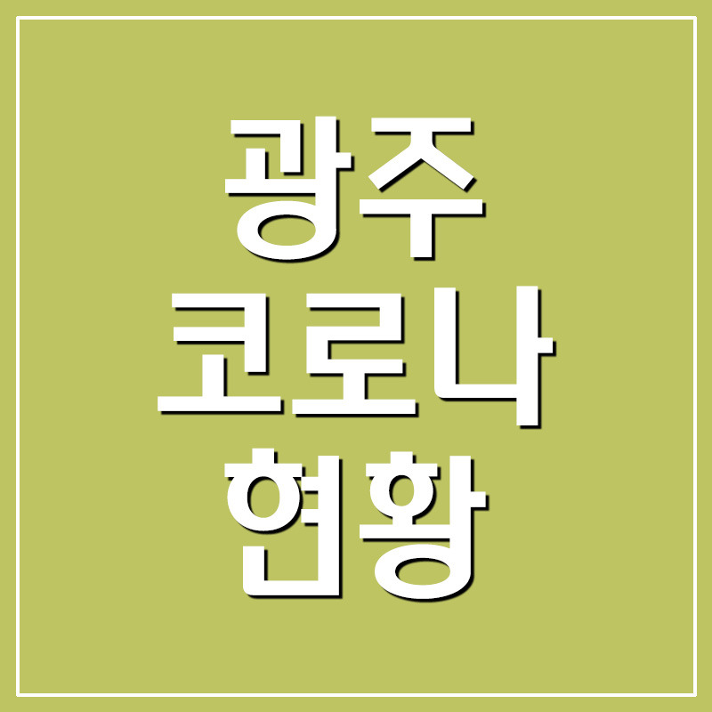 광주 코로나 확진자 현황
