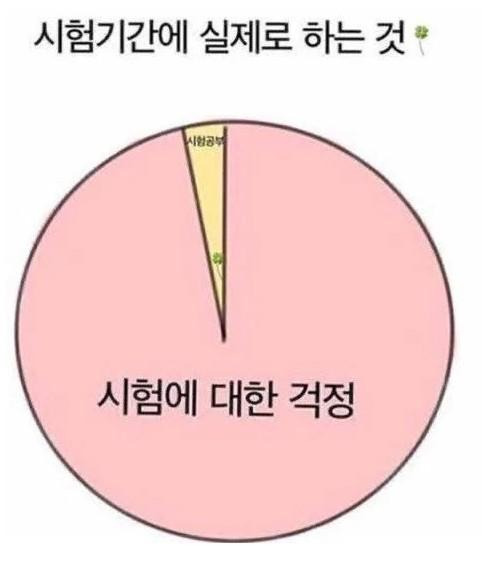 시험기간에 실제로 하는 것