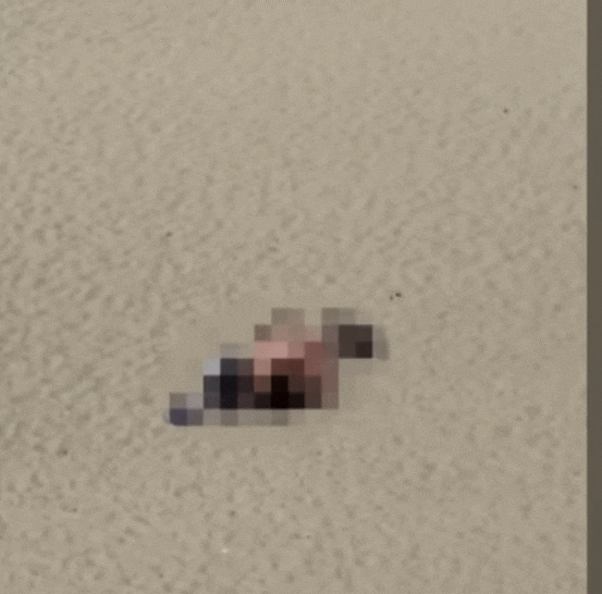 강원도 고성 해변 애정행각 민폐커플 ️ 옷벗고 40분동안 성관계 연상 19금 사건반장 (+공연음란죄)