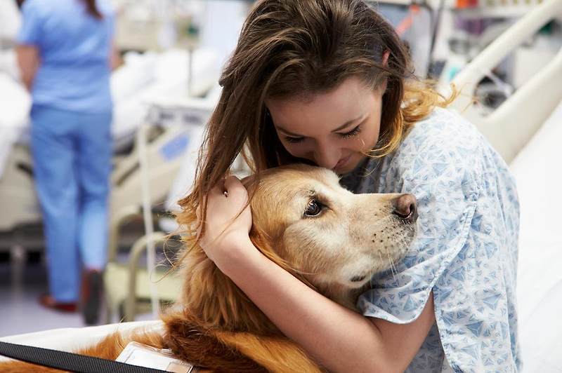 강아지도 느낄 수 있는 인간의 심리적 스트레스 Study Finds That Dogs Can Detect When We’re Stressed Out