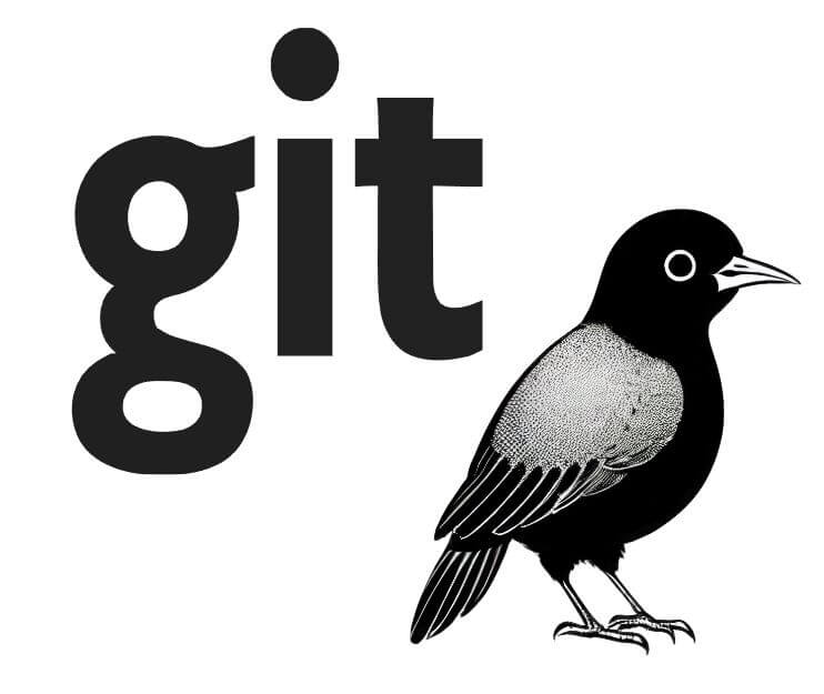 깃(Git) 의미 공부 하는 방법과 전망
