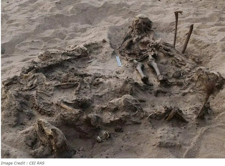 142마리 개와 함께 묻힌 아이 미라 ㅣ 이집트 무덤에서 10마리 악어 미라 발견 VIDEO: Ten crocodile mummies found in Egypt