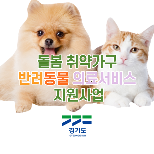 돌봄 취약가구 반려동물 의료서비스 지원사업 - 경기도