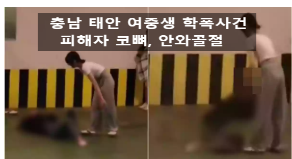 충남 태안 여중생 학폭사건 피해자 코뼈 안와골절 '더 글로리 현실판'