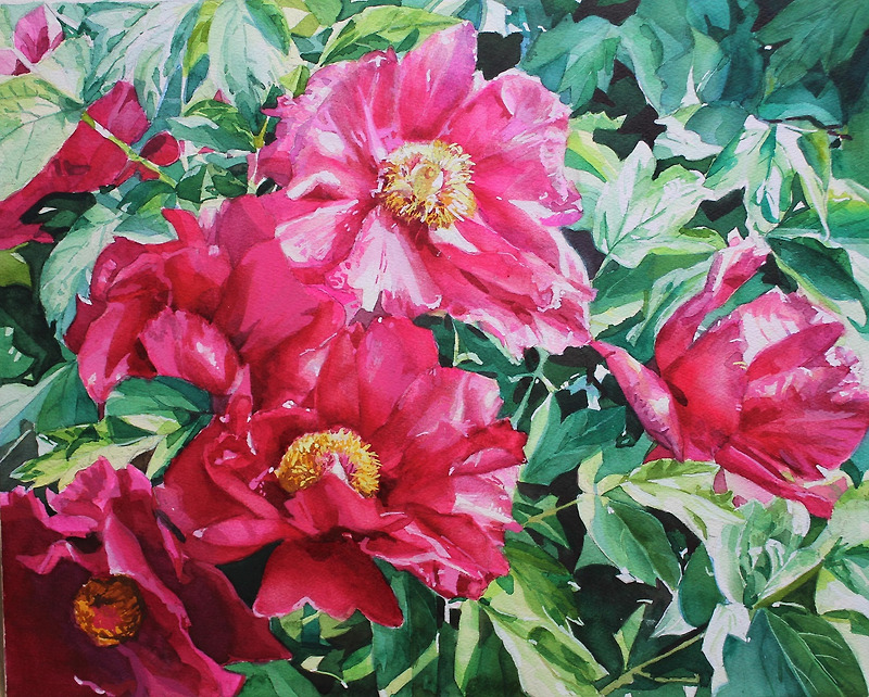 목단 그림, 모란꽃 수채화, 복주머니 돈되는 그림