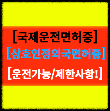 [국제운전면허증], 한국에서 운전 가능한 외국의 국제운전면허증 알기!
