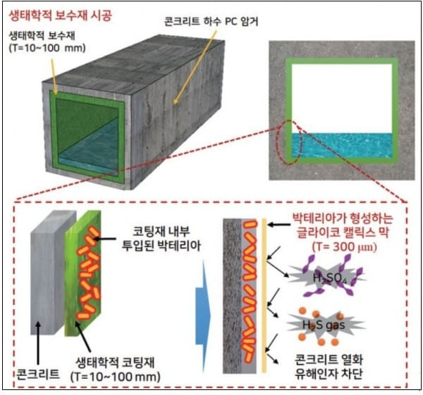 콘크리트구조물 사용수명 연장시켜주는 신개념 박테리아 활용 보수공법