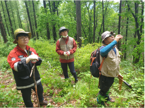국유림경영계획 수립을 위한 직영산림조사 착수_산림청