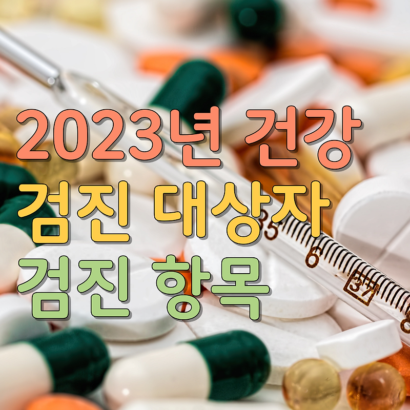 2023년 건강 검진 대상자 검진 항목
