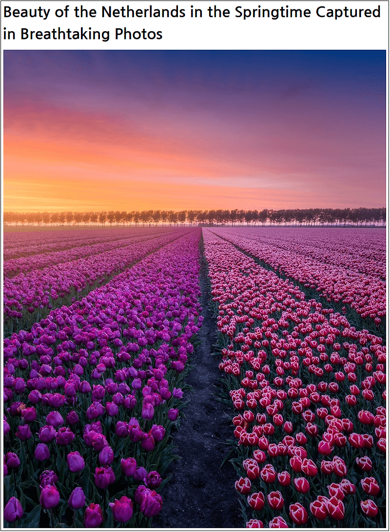 숨막힐 듯한 사진으로 포착된 봄의 네덜란드 Beauty of the Netherlands in the Springtime Captured in Breathtaking Photos