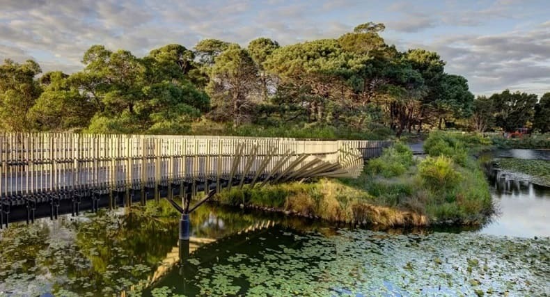 뱀장어의 모양의 시드니 센테니얼 파크랜드 다리 Centennial Parklands Bridge in Sydney