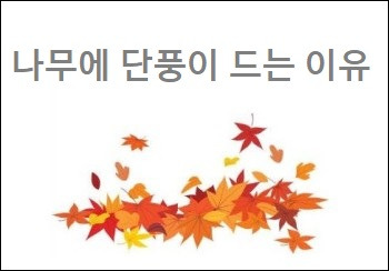 나무에 단풍이 드는 이유