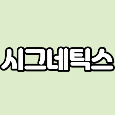 시그네틱스 - 어떤 기업인가요? 급등이유,기업분석