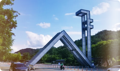 서울대 