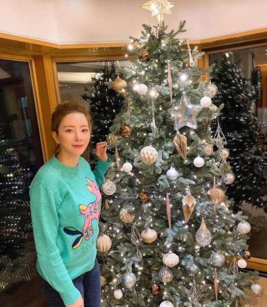김태우 아내 김애리, 여배우 뺨치는 화려한 비주얼..일반인 맞아?