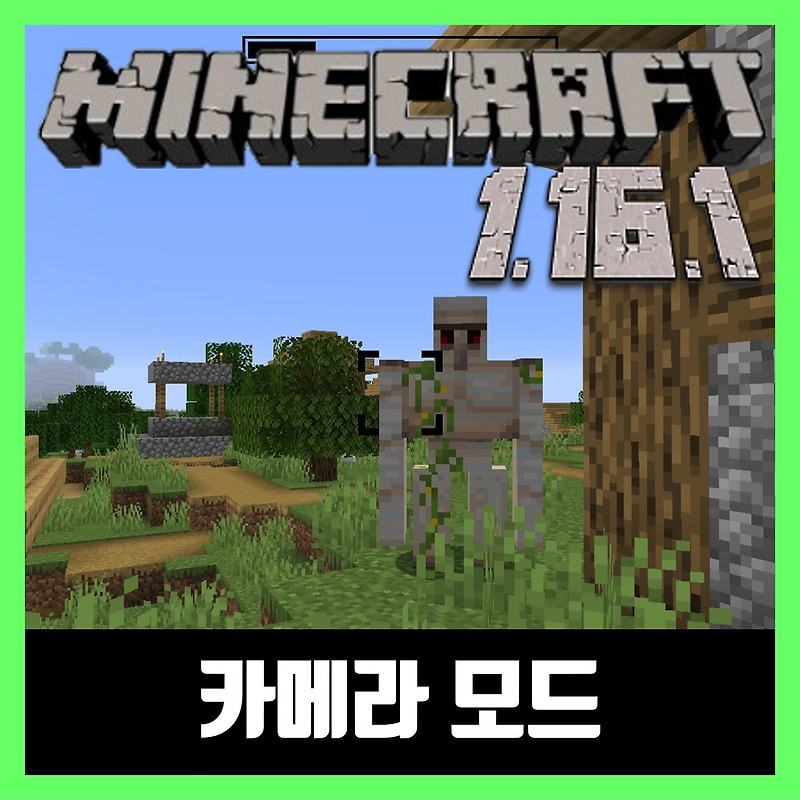 마인크래프트 1.16.1 카메라 모드 Camera