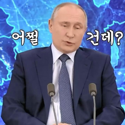 푸틴 정적, 나발니...