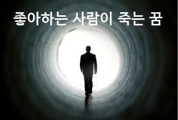 좋아하는 사람이 죽는 꿈 고백하는 꿈 좋아하는 사람 뺏기는 꿈 좋아 하는 사람이 외면 하는 꿈 좋아하는 사람과 손잡는 꿈 해몽