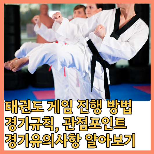 태권도 (Taekwondo) 게임 진행 방법, 경기규칙, 관점포인트, 경기유의사항 알아보기