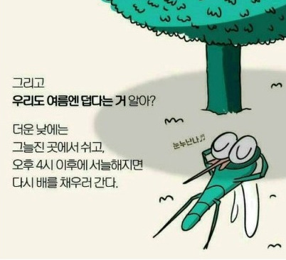 모기에 대한 오해와 진실