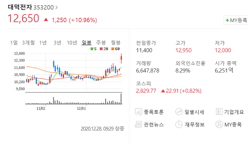 매출 121배 성장, 대덕전자 기업 분석해보기