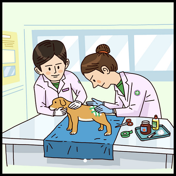 서울 '우리동네 동물병원 서비스' 지원사업이 시작되었습니다.