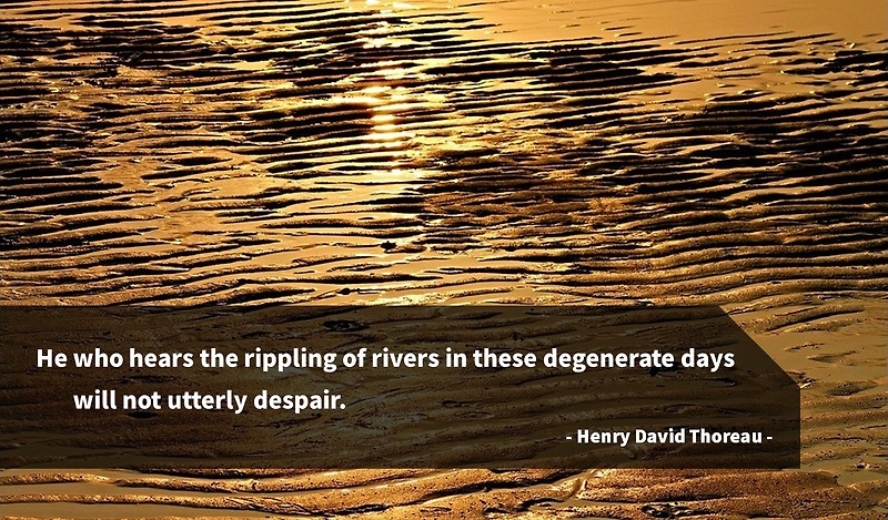 '헨리 데이비드 소로' - 자연과 인간, 인간 관계 및 행복 등에 관한 명언 모음