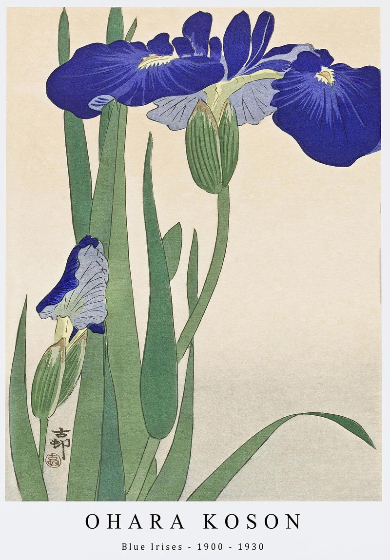 오하라 코손(Ohara Koson), 일본, 화가, 1877-1945