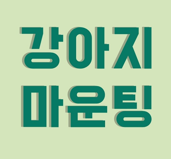 강아지 마운팅 왜 하는걸까?