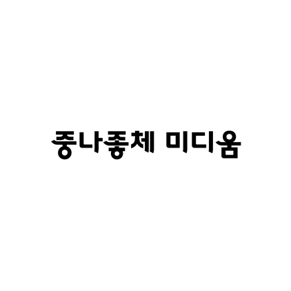 [명조체]중나좋체 미디움 폰트 무료 다운로드(제작 : 중고나라)