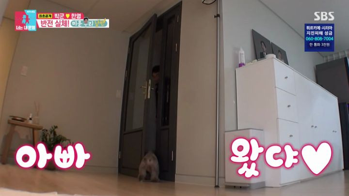 동상이몽2 너는 내 운명 280회.230220.1080p.mp4.torrent