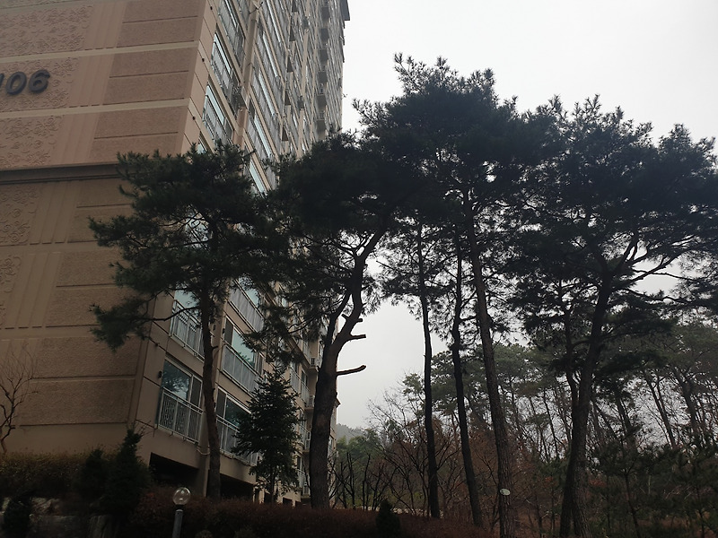 위장전입, 청약통장 매매, 자격 양도, 위장결혼, 부정청약 모니터링중입니다
