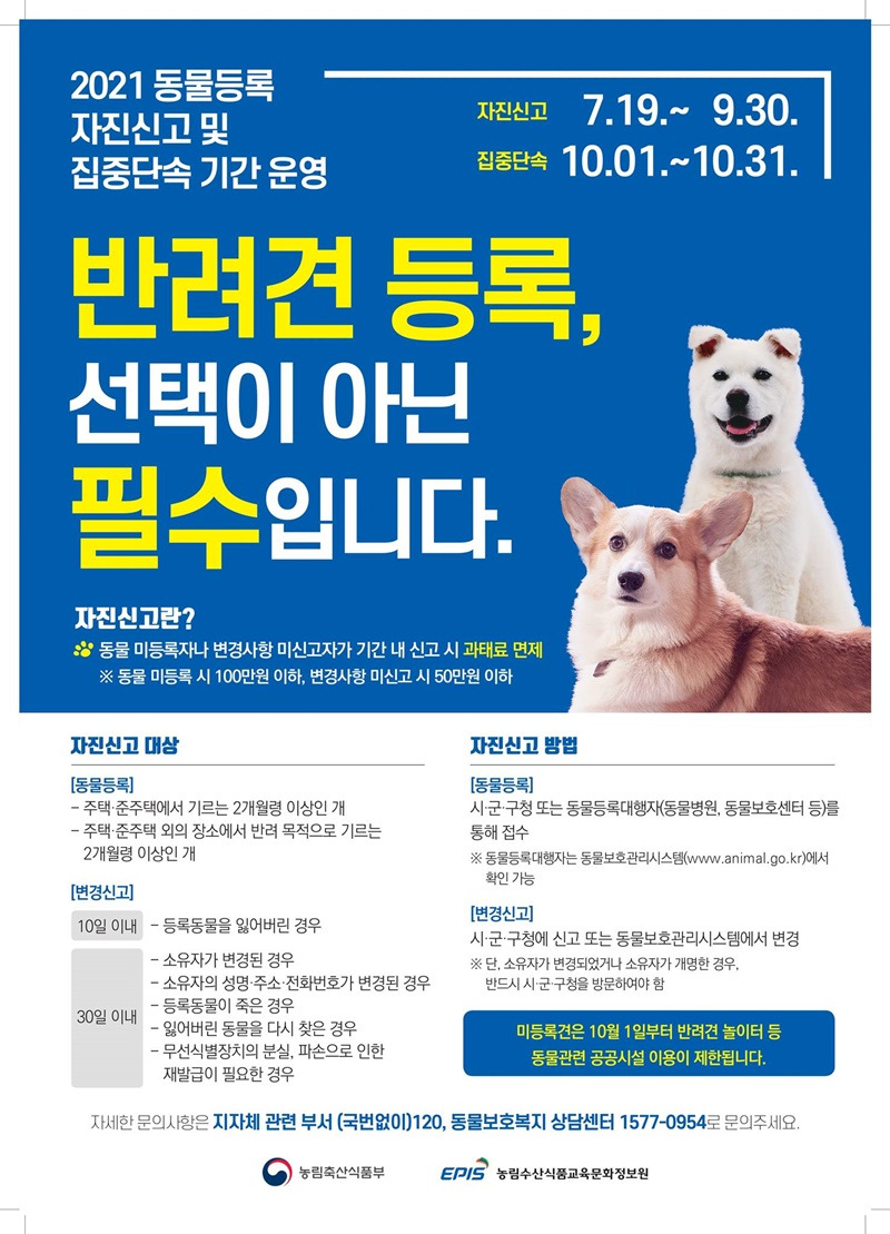 [농림축산식품부] 반려견 자진신고 기간 내 등록하면 과태료 면제(지진신고 7.19.~ 9.30. | 집중단속 10.01.~10.31)