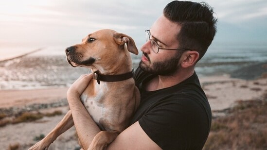 반려견, 사람 치매 해결의 키 가지고 있어  Study suggests companion dogs might be the key to solving dementia