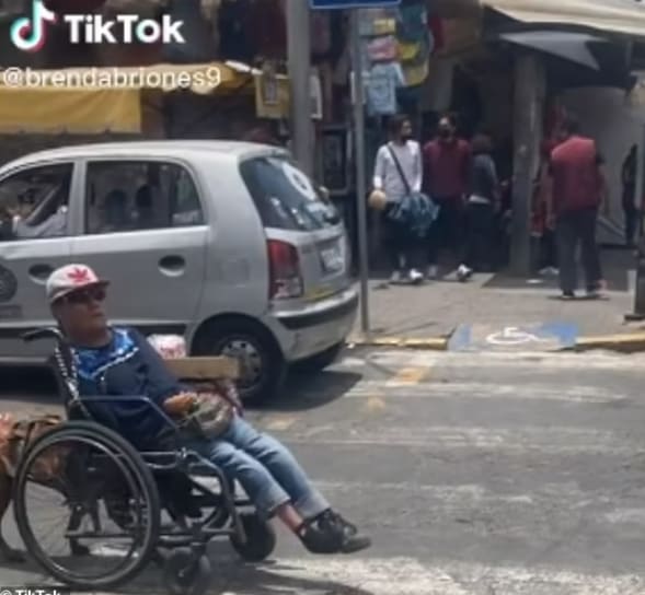 가슴뭉클한 주인의 휠체어를 밀어주는 견공 VIDEO: Heartwarming moment dog pushes owner's wheelchair across street