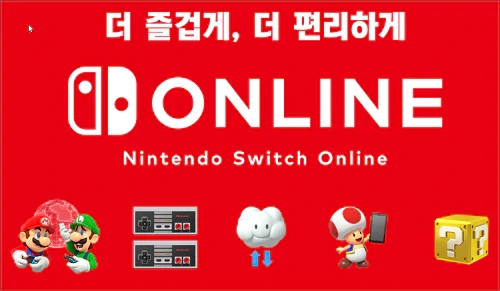 닌텐도 스위치 온라인 결제 방법, 어카운트 정보 변경 불가의 경우