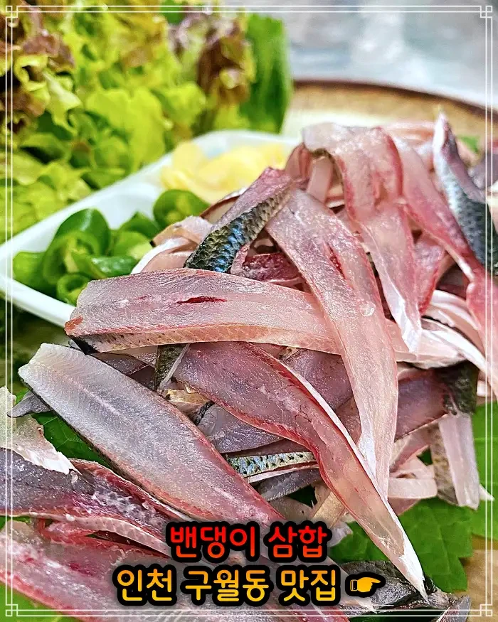 2TV 생생정보 28년 전통 밴댕이삼합 인천 구월동 맛집 1798회 장사의 신 밴댕이회, 밴댕이 무침, 밴댕이구이 가격 위치 어디
